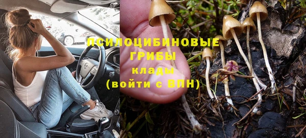 шишки Абдулино