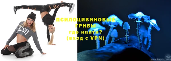 шишки Абдулино