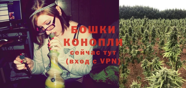 шишки Абдулино