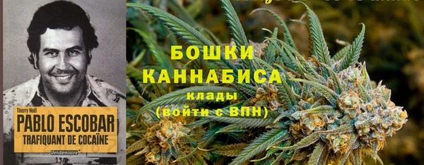 шишки Абдулино