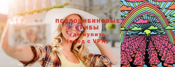 ПСИЛОЦИБИНОВЫЕ ГРИБЫ Абаза