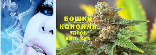 шишки Абдулино