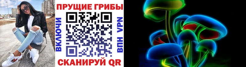Псилоцибиновые грибы Cubensis  Орск 