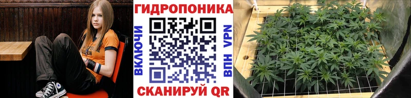 Марихуана индика  Орск 